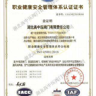 環(huán)境與職業(yè)健康安全管理體系中文版